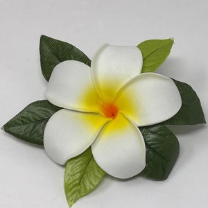 Hawaiian 4 &quot;Plumeria Hula Blumenclip. Wunderbare Blume ist ein fantastisches Beispiel für die Flora, die Sie bei einem Besuch der Inseln erwarten können.