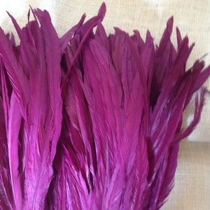 Dyed Purple Rooster Tail Feathers. 3 Pack 8 10 In Length image 1