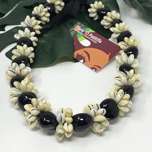 Hawaiian Kukui Nut & Shell Lei or Necklace. Perfect for Every Age.