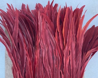 Dyed Red Rooster Tail Feathers.. 3" Pack 12"- 14" - Long/Length.