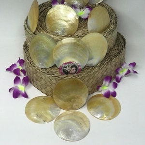Drilled Golden Or Yellow Mother Of Pearl Shell. Natural Shells Approximately 80 mm.