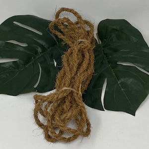 Op de afbeelding: Een close-up van een bruin touw van natuurlijke vezels, waarschijnlijk gemaakt van kokos, tegen een achtergrond van twee groene kunstmatige monstera bladeren.