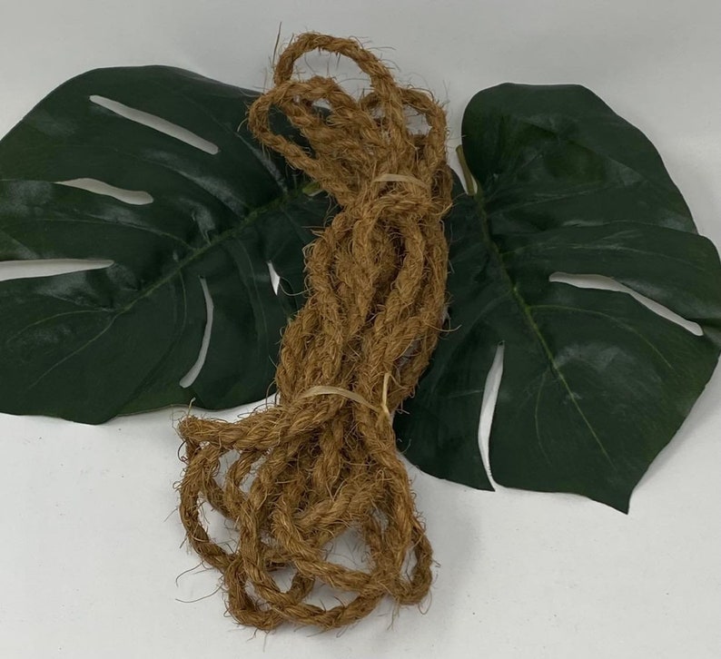 Op de afbeelding: Een close-up van een bruin touw van natuurlijke vezels, waarschijnlijk gemaakt van kokos, tegen een achtergrond van twee groene kunstmatige monstera bladeren.
