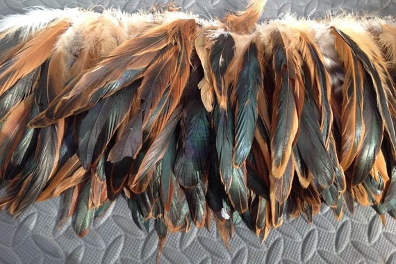 NATURAL HALF BRONZE Rooster Tail Feathers. 3 Pack of 79 Inches Long/  Length. -  Canada