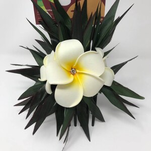 May include: A white plumeria flower with a yellow center and a rhinestone accent, surrounded by dark green leaves, attached to a black comb. The flower is part of a hair accessory.