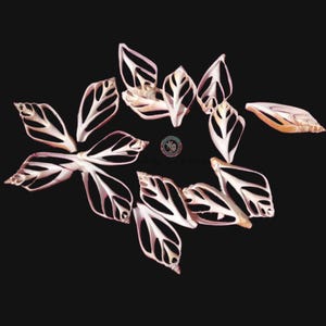 May include: A collection of ten delicate, white and pink seashells with intricate patterns. The shells are arranged in a circular pattern on a black background.