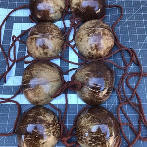 May include: Eight brown coconut shells with brown rope handles. The shells are arranged in two rows of four, with the rope handles connecting them.