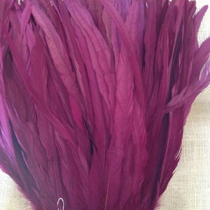 Dyed Purple Rooster Tail Feathers. 3 Pack 8 10 In Length image 2