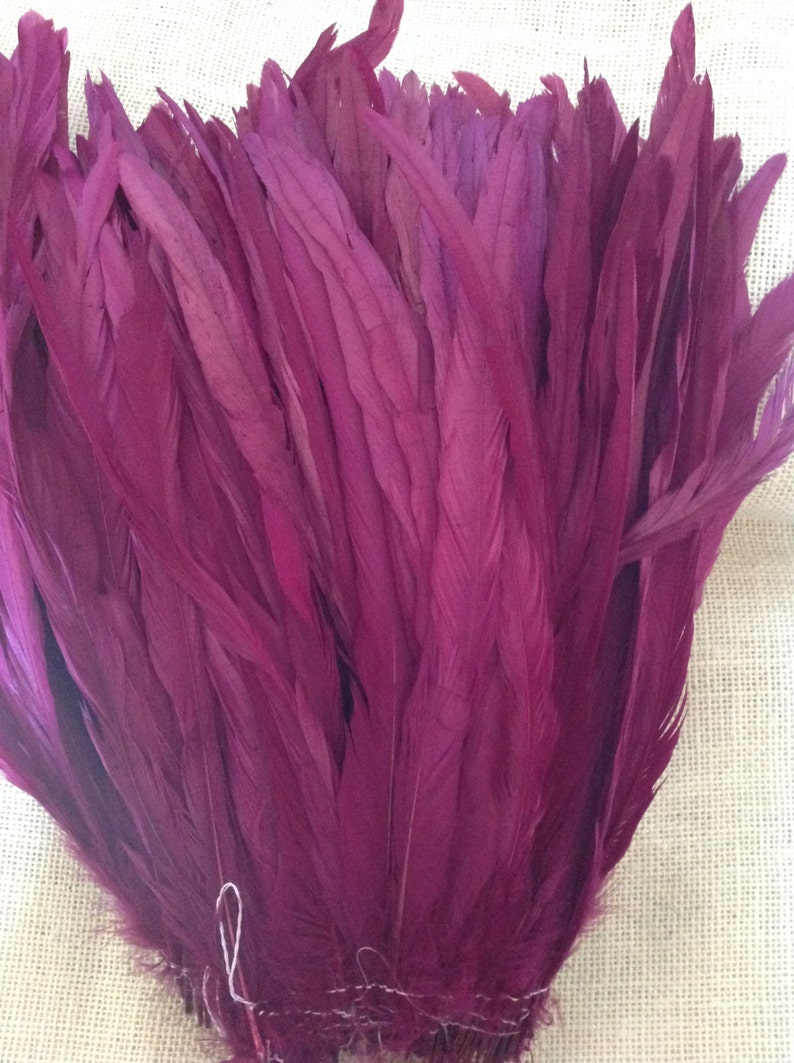 Dyed Purple Rooster Tail Feathers. 3 Pack 8 10 In Length image 2
