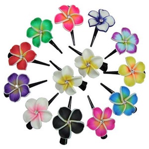 Puede incluir: Surtido de 12 pinzas para el pelo con forma de flor de colores con pedrería. Cada pinza presenta una flor de color diferente con una pedrería en el centro. Las pinzas son de plástico y tienen una pinza de metal negro.