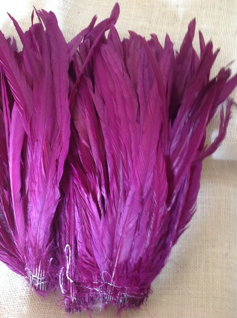 Dyed Purple Rooster Tail Feathers. 3 Pack 8 10 In Length image 1