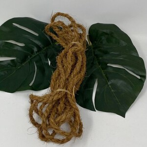 Op de afbeelding: Een bundel natuurlijke bruine kokosnoot touw, vastgebonden met een elastiekje, tegen een achtergrond van twee groene kunstmatige monstera bladeren.