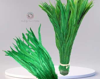 Dyed Rooster Tail Feathers.. 3&quot; Pack Of 7&quot; - 10&quot; in Length. Perfect For Making Headpiece & Costumes!! (Different Colors)