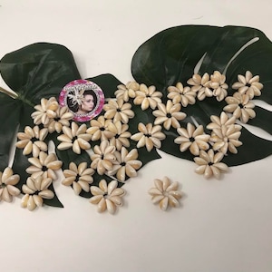 May include: A collection of cream-colored seashell flowers arranged on a large, dark green leaf. The flowers are clustered together, creating a decorative display. A circular sticker with a woman's image is also present.