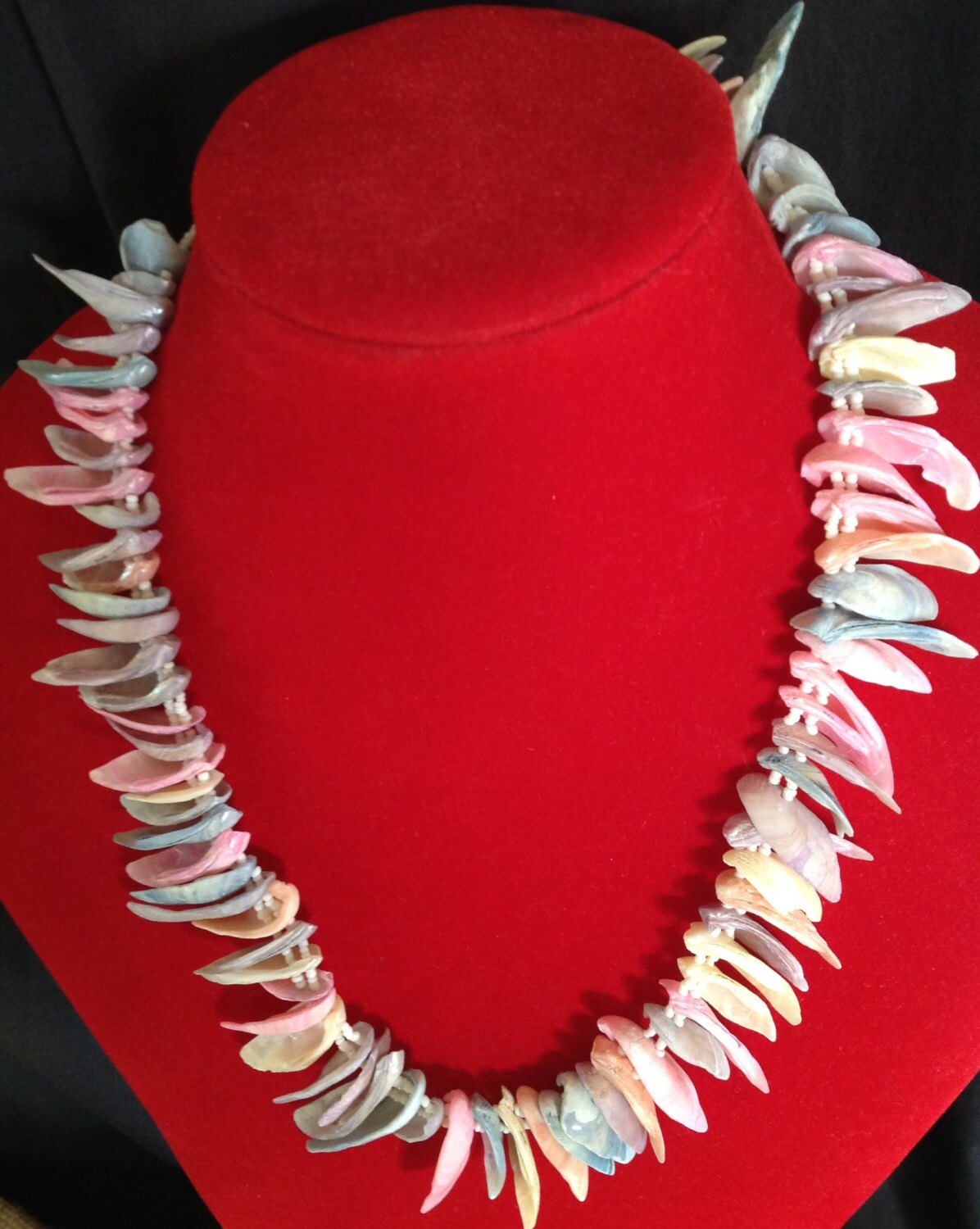 Natural Sea Shells Necklace..shell Pieces Are Dyed in Etsy New Zealand