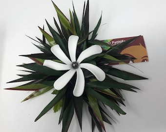 May include: A white flower with five petals, resembling a plumeria, is surrounded by green and burgundy leaves. The flower has a dark grey center and is made of a smooth, white material. The leaves are arranged in a circular shape, creating a lush and tropical look.