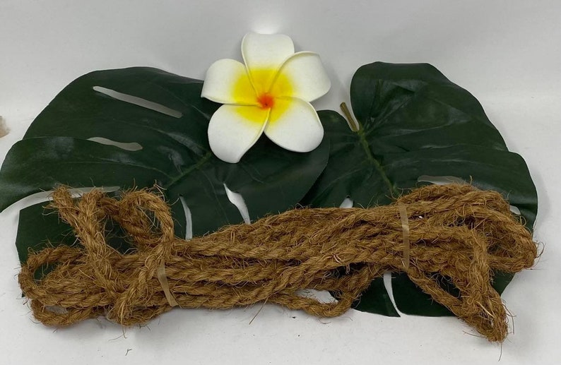 Op de afbeelding: Een bruin touw van natuurlijke vezels ligt op twee groene monstera bladeren met een witte frangipani bloem in het midden.