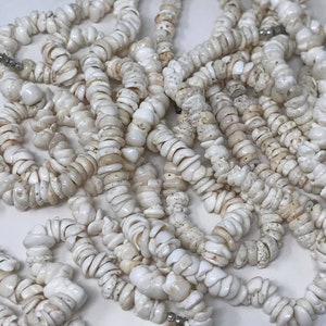Authentic Hawaiian Puka Shell Necklace Or Bracelet. Puka Shell Beads, Seashells, Shells, Beach Decor, Shell Beads, Tiny Shells.