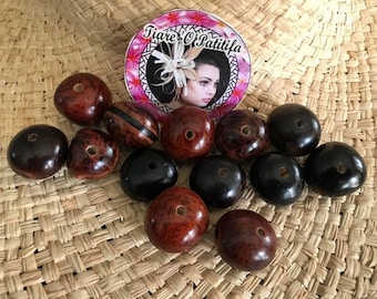 Perles de noix de cebucao percées, très polies, fabrication de lei hawaïens (13-15 mm)