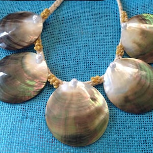 Può includere: Una collana realizzata con conchiglie iridescenti con un cordoncino bianco e perline gialle. Le conchiglie sono disposte a scalare.