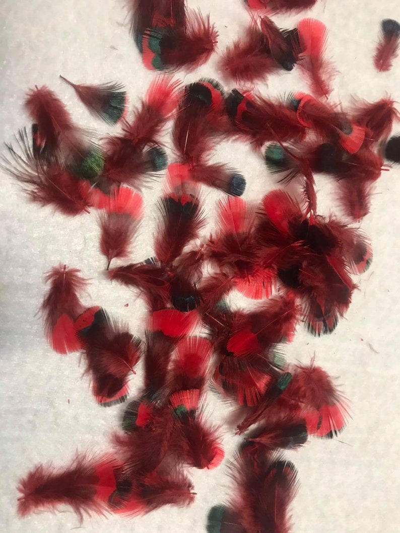 The little red feathers. Tongan Ngafingafi or kie feathers. Etsy