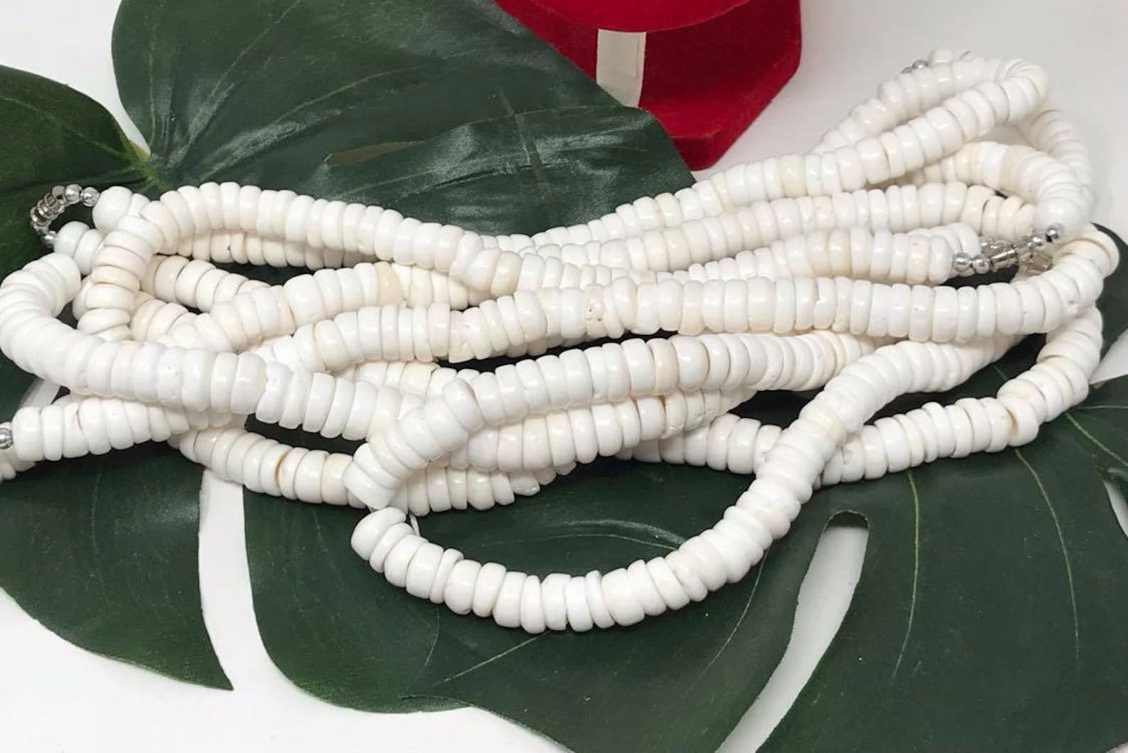SALE!! Authentic White Hawaiian PUKA SHELL Necklace or Bracelet. Puka ...