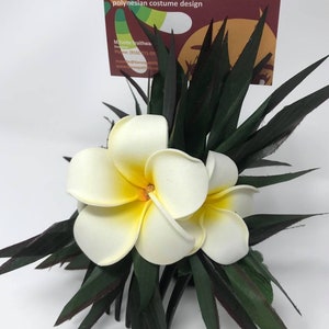 May include: A white and yellow plumeria flower hair clip with green leaves. The clip is decorated with a business card that reads "Tiare 'O Patitifa, Polynesian costume design".