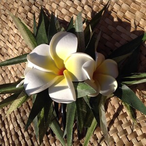 May include: A white and yellow plumeria flower hair clip with green leaves. The clip is on a woven brown background.