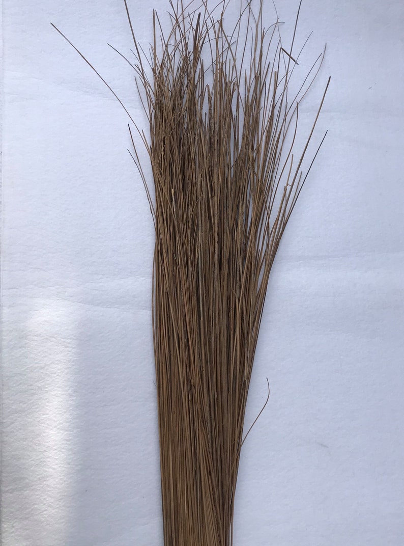 Authentic Dried Coconut Sticks or Tu'aniu Sticks. These Etsy