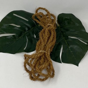 Op de afbeelding: Een bundel natuurlijke bruine kokosnoot touw, vastgebonden met een elastiekje, tegen een achtergrond van twee groene monstera bladeren.
