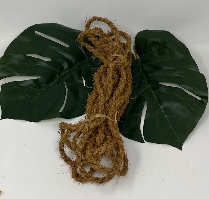 Op de afbeelding: Een bundel natuurlijke bruine kokosnoot touw, vastgebonden met een elastiekje, tegen een achtergrond van twee groene monstera bladeren.
