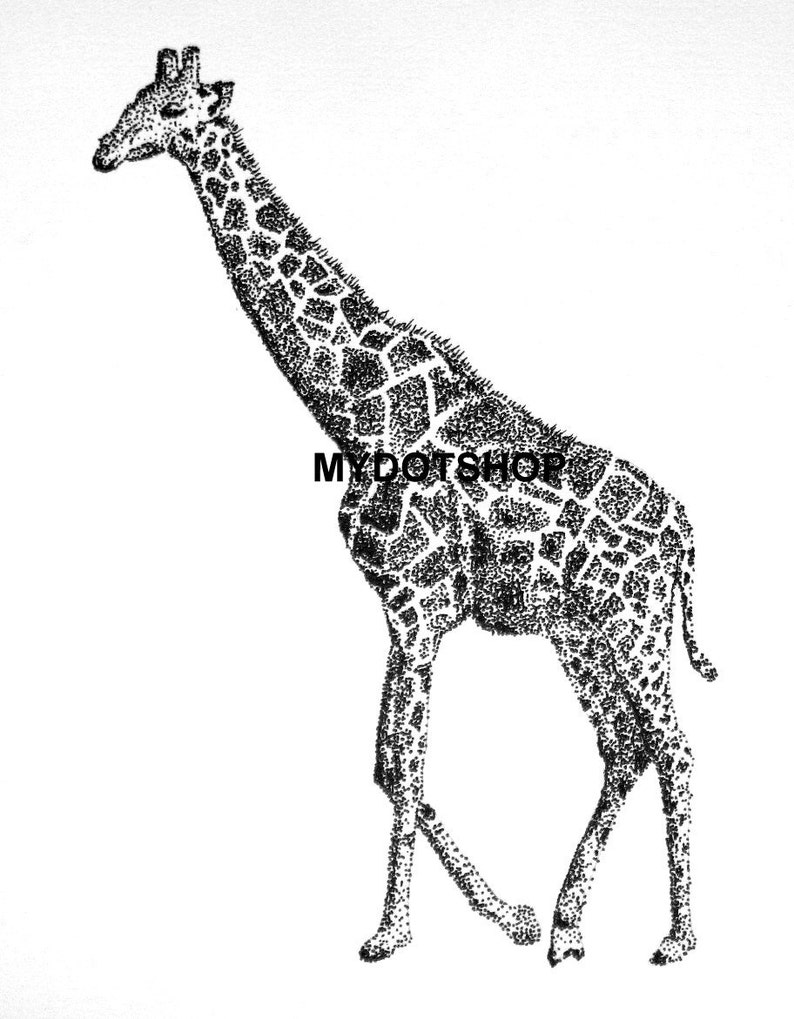 Original Giraffe Pointillism Pen and Ink Drawing Etsy