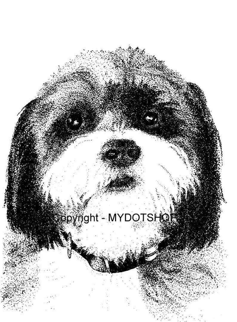 Original Shih Tzu Pointillism Pen and Ink Drawing Free Etsy