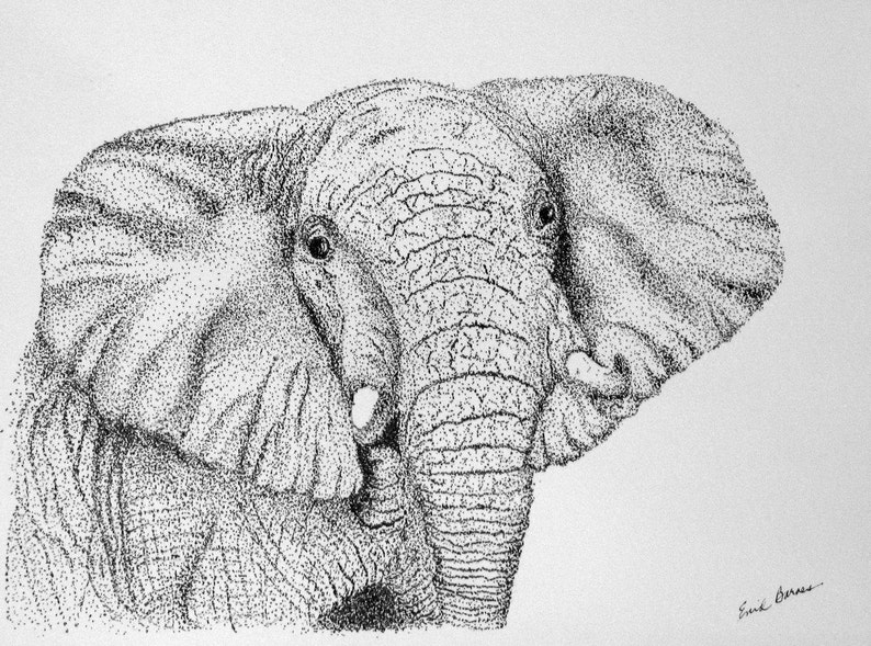 Original Pen And Ink Pointillism Drawing Of An Elephant Etsy
