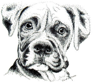Boxer Original Pointillism Drawing