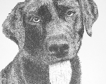 Original Black or Chocolate Labrador Pointellism Pen and Ink Drawing