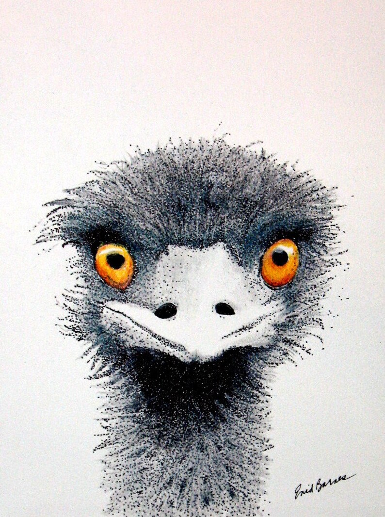 Ostrich Original Pen And Ink And Colored Pencil Pointillism Etsy
