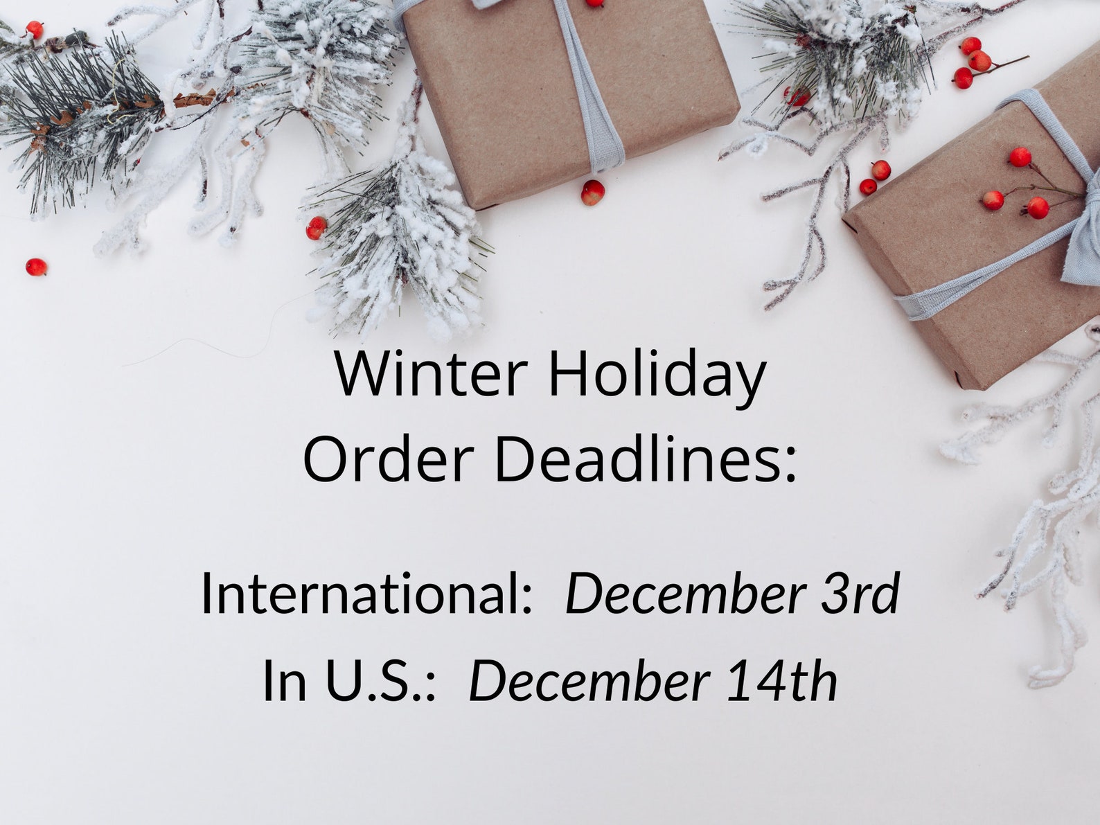 Olive Green Studs Matte Green Earrings Unisex Earrings Etsy