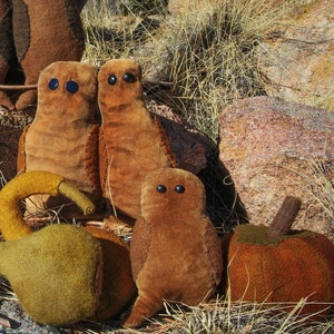 May include: A group of handmade felt owls and gourds in various shades of brown and green. The owls have large, black eyes and are arranged around the gourds, which are sitting on a bed of pine needles.