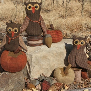 May include: Three brown felt owls with large eyes and orange beaks, sitting on pumpkins and spools of thread. The owls are surrounded by small brown felt acorns and pumpkins.