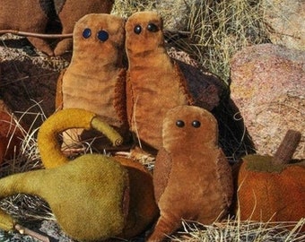 Velvet Wool Applique Pattern  Primitive Owls Gourds and Pumpkins by Kay Cloud Folk Art Designs - Kit Option Available