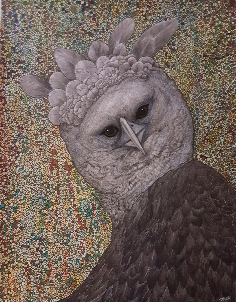 RARE RAPTOR, Award Winner best of Show Original Mixed Media on Bristol ...