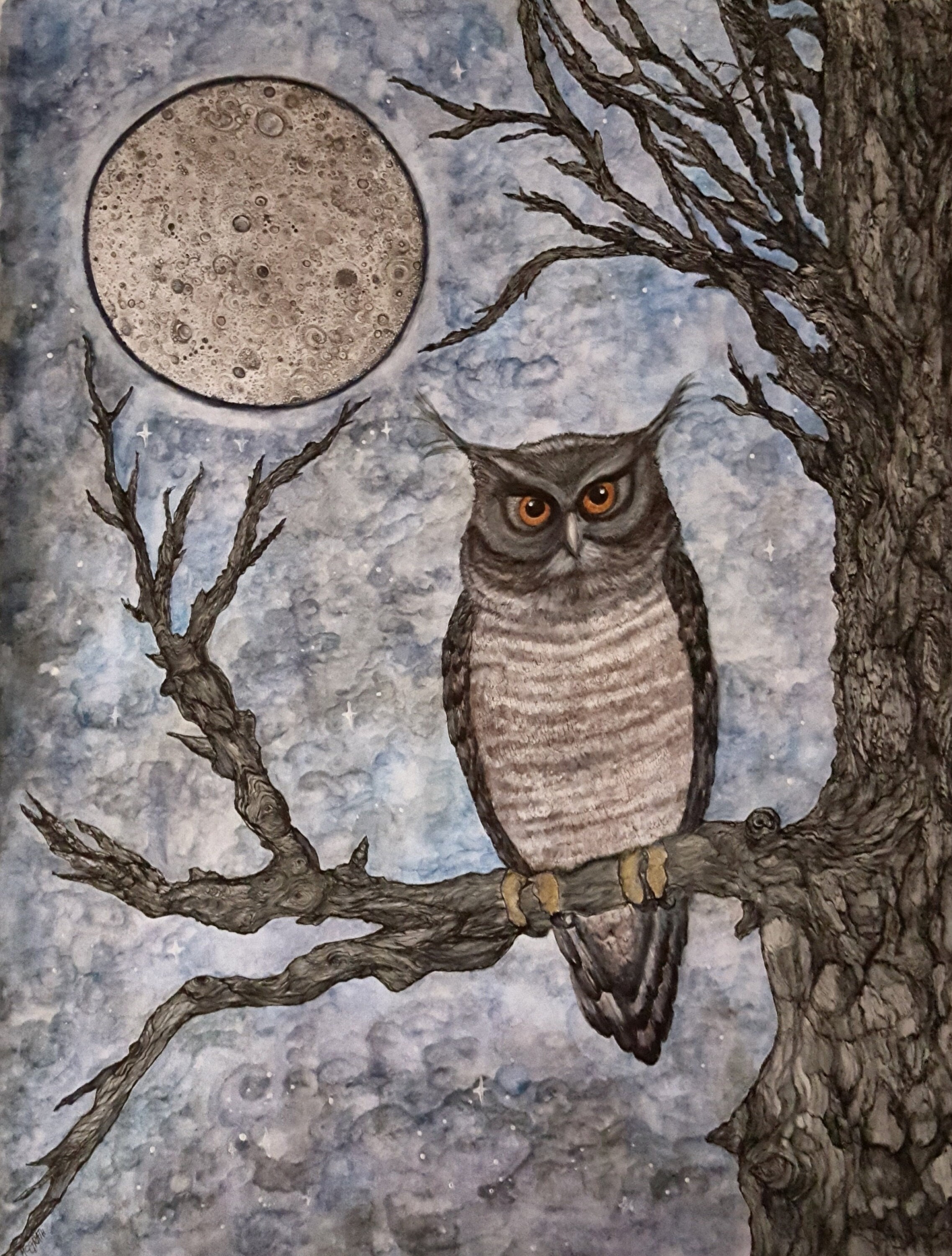 Owl in Tree - Full moon-Original painted drawing, "The Watcher" is on Bristol paper- inks/