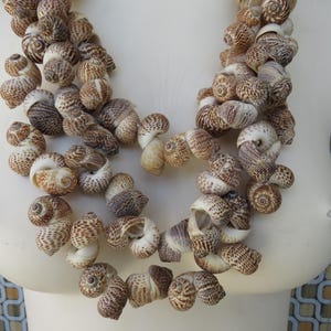 K&ouml;nnte beinhalten: Eine mehrreihige Halskette aus braunen und wei&szlig;en Muscheln. Die Halskette besteht aus vielen kleinen, spiralf&ouml;rmigen Muscheln, die zu einer langen, flie&szlig;enden Halskette zusammengef&uuml;gt sind.
