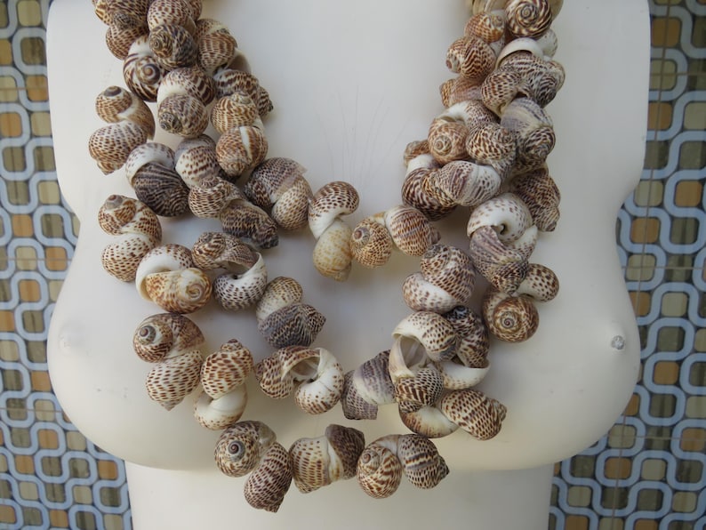 K&ouml;nnte beinhalten: Eine mehrreihige Halskette aus braunen und wei&szlig;en Muscheln. Die Halskette besteht aus vielen kleinen, spiralf&ouml;rmigen Muscheln, die zu einer langen, flie&szlig;enden Halskette zusammengef&uuml;gt sind.