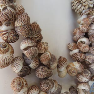 K&ouml;nnte beinhalten: Eine Nahaufnahme einer Halskette aus braunen und wei&szlig;en Muscheln. Die Muscheln sind in einem Muster angeordnet und mit einem durchsichtigen Faden zusammengef&uuml;gt.