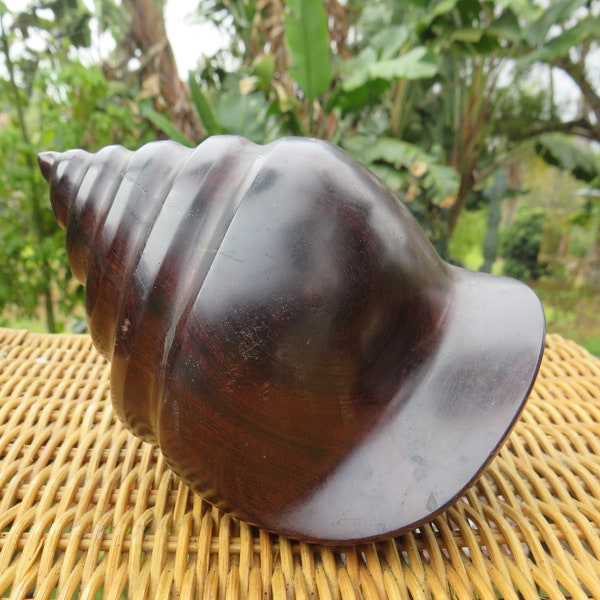 Sea Shell Sculpture - Etsy