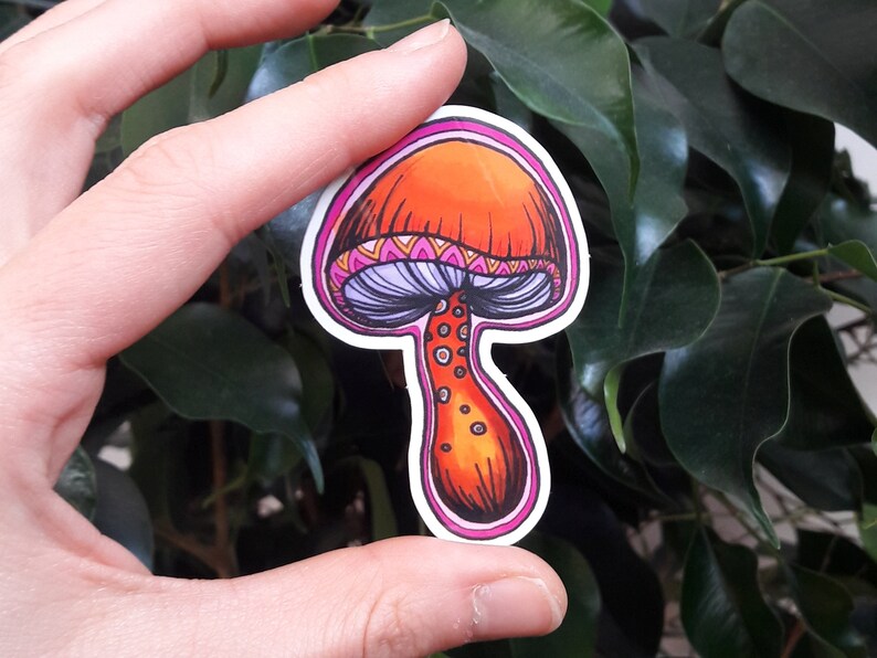 Mushroom stickers STICKER 3-pack cute colorful trippy shroom stickers