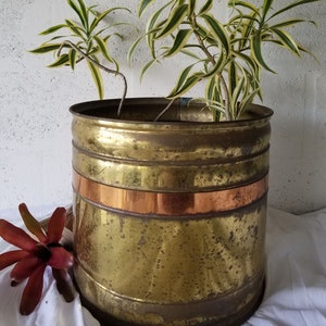 May include: A cylindrical brass planter with a copper band, holding a plant with green and yellow striped leaves. The planter has a weathered appearance, suggesting age. A red flower rests on the white cloth in front of the planter.