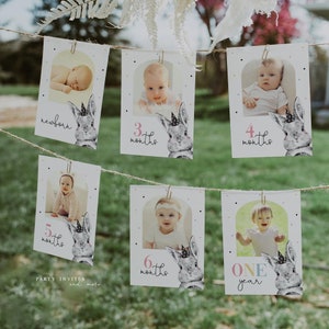 Bunny First Birthday Monthly Photo Banner, Bunny 1st Birthday Banner Printable Template 2579
